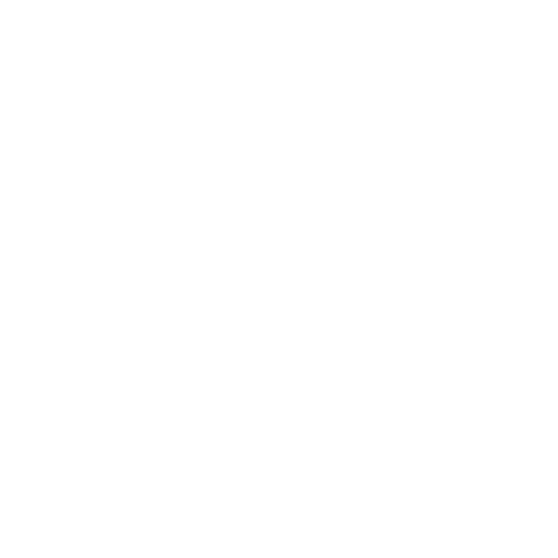 icon services