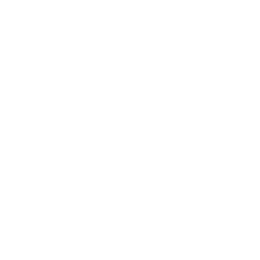 icon services